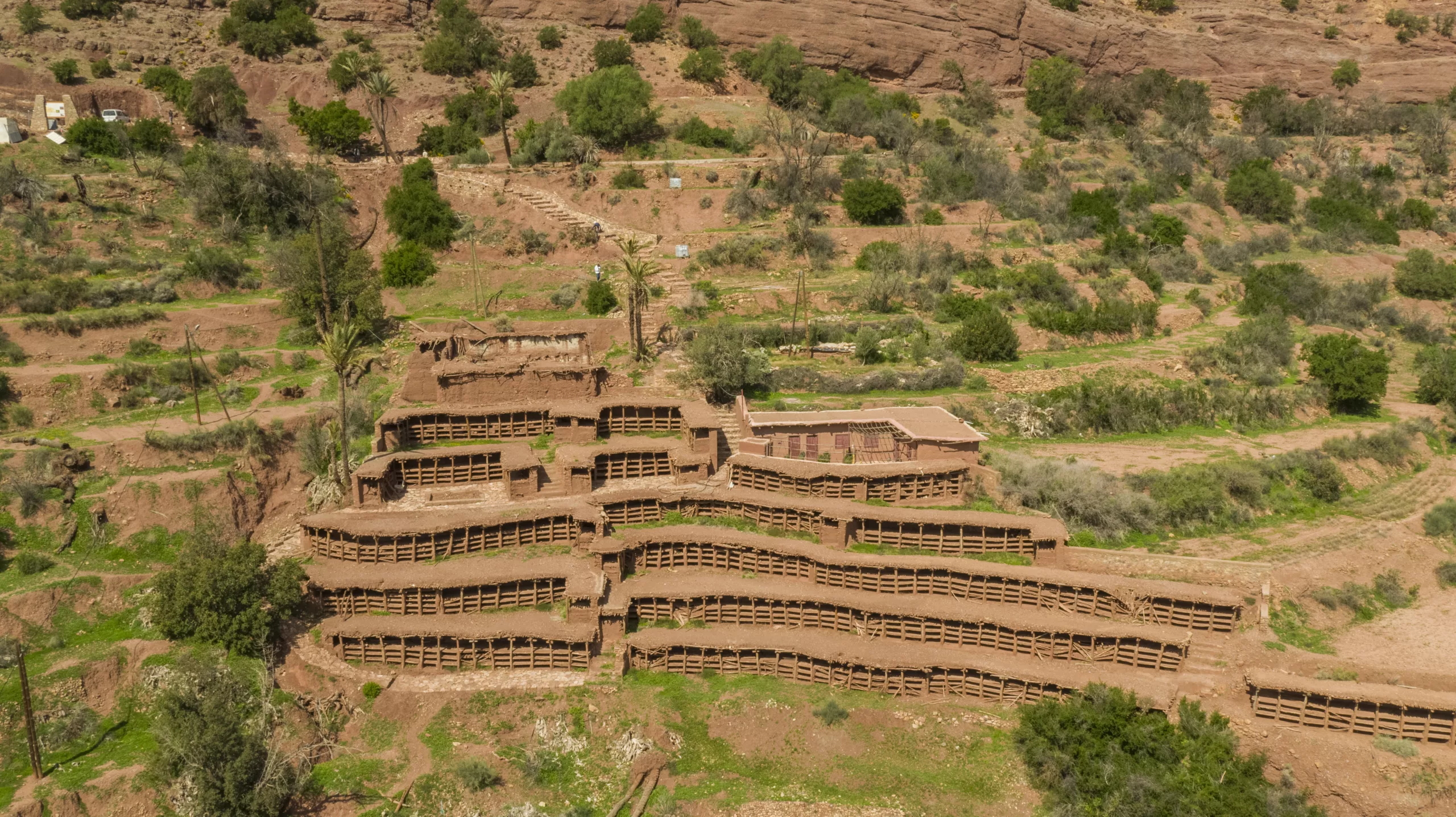Valorisation du Rucher d’Inzerki