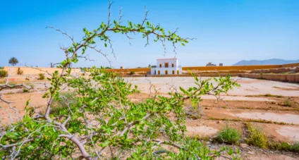 Aménagement touristique de la Ménara Ait Jerrar